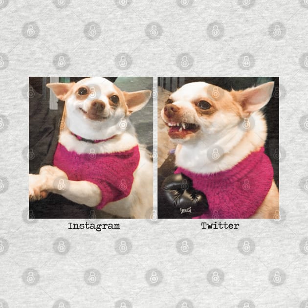 How you Act on Instagram vs. How you Act on Twitter by akastardust